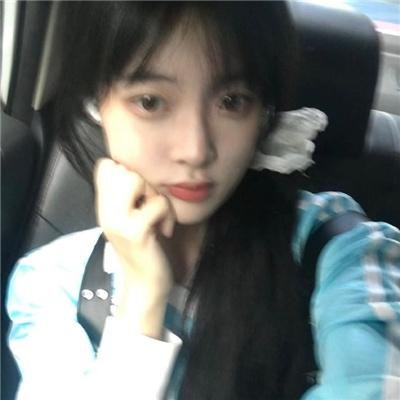 淑女鸟